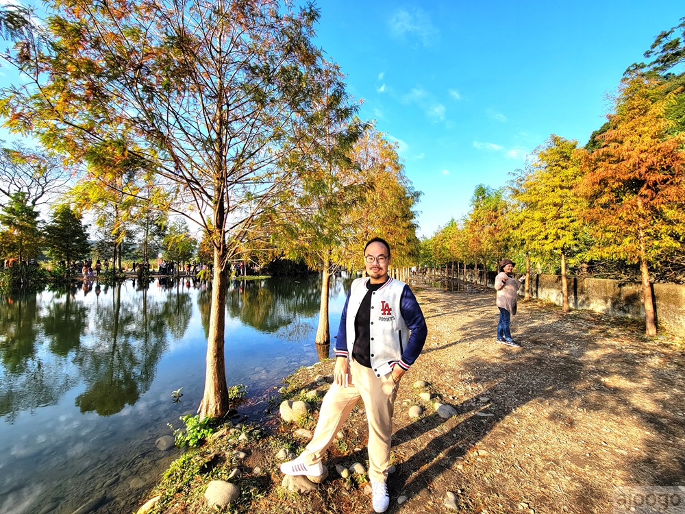 2025桃園景點 大溪落羽松 月眉人工濕地生態公園 372株落羽松 停車場