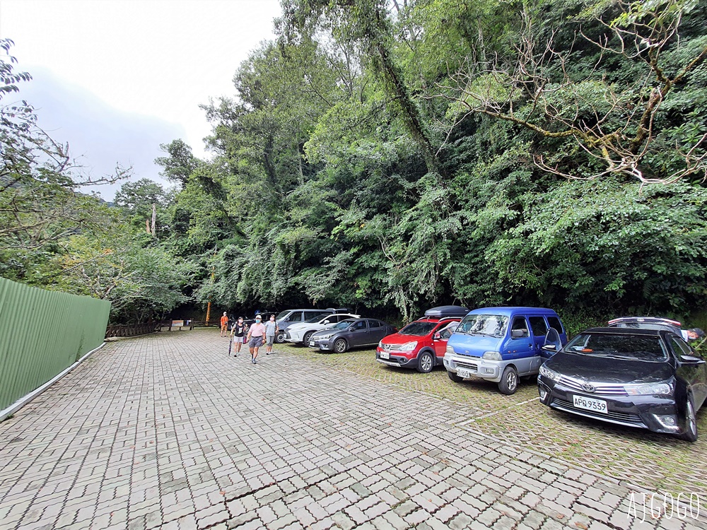 桃園景點 拉拉山神木群步道 北台灣唯一千年巨木林區 好走的森林步道