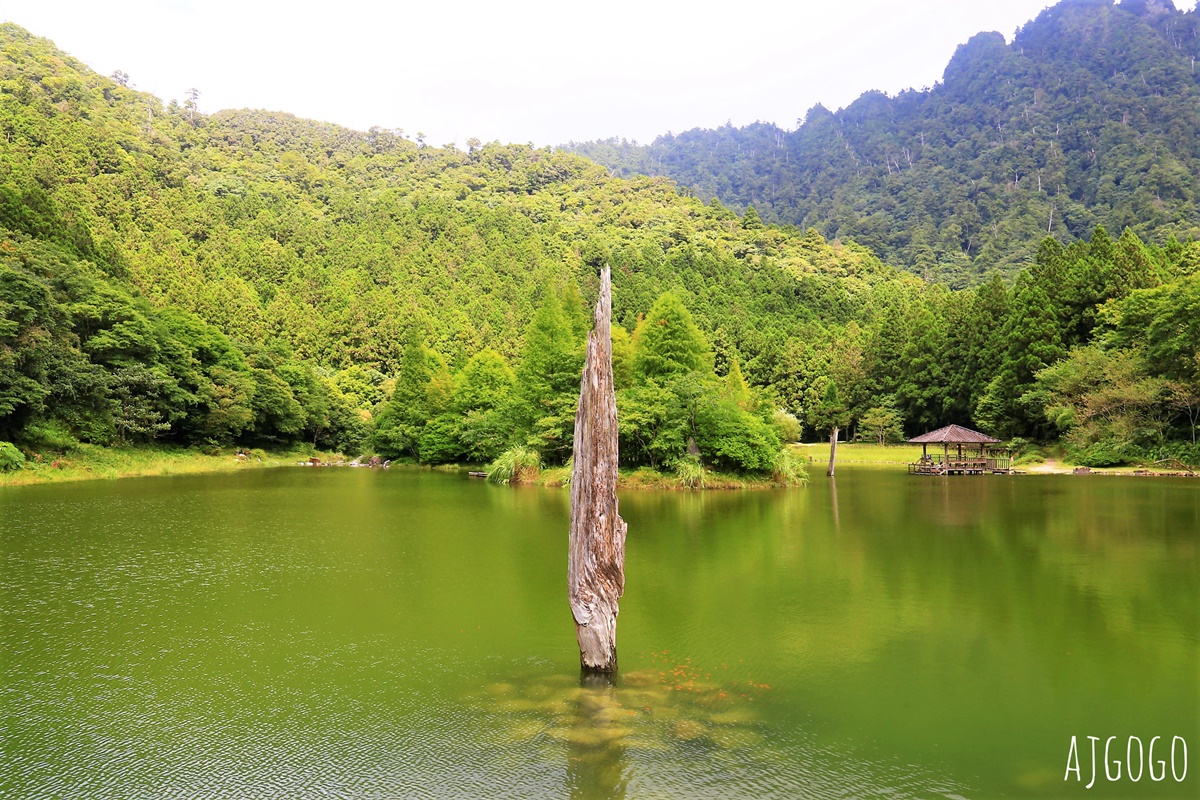 明池森林遊樂區:夏季避暑勝地 北橫公路景點推薦