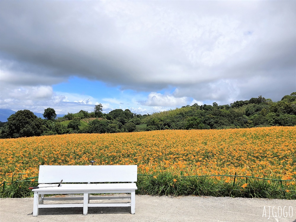 花蓮赤科山:金針花地毯鋪滿山坡 好像北海道 交通、景點分享