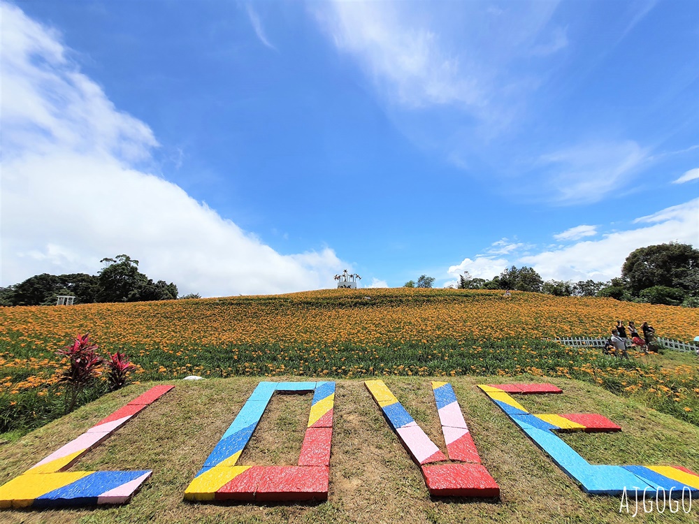 花蓮赤科山:金針花地毯鋪滿山坡 好像北海道 交通、景點分享