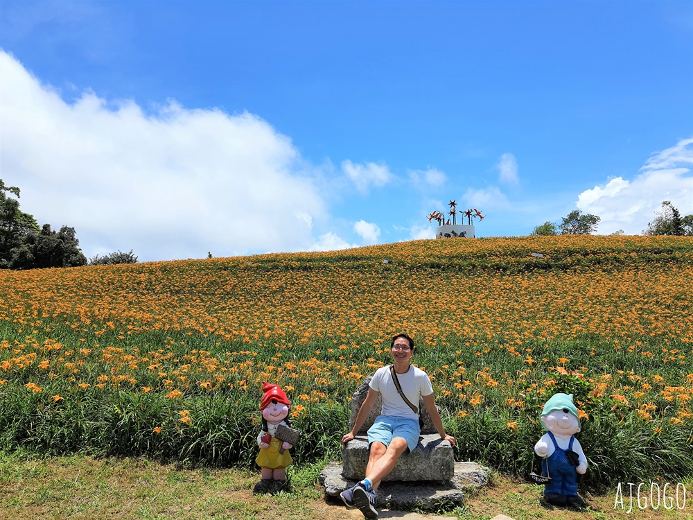 花蓮赤科山:金針花地毯鋪滿山坡 好像北海道 交通、景點分享