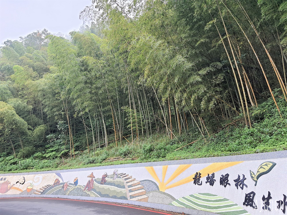 嘉義梅山景點推薦 二尖山步道 茶園步道 雲海、雲瀑一次滿足