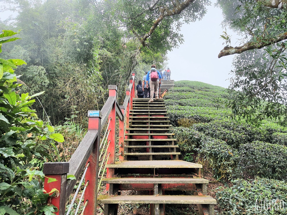 嘉義梅山景點推薦 二尖山步道 茶園步道 雲海、雲瀑一次滿足