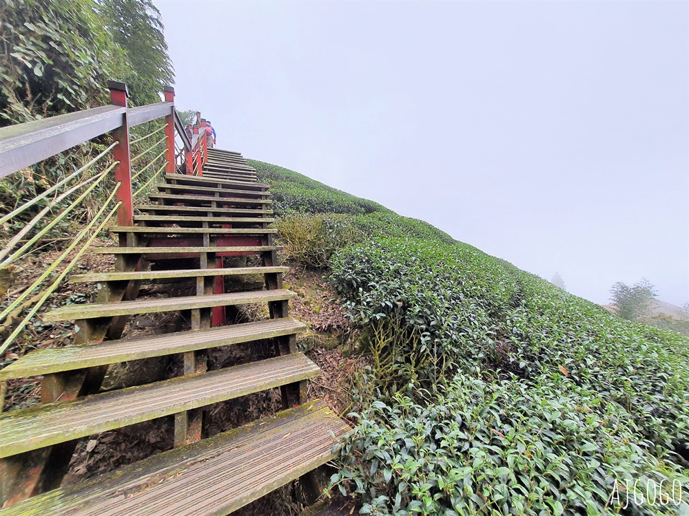 嘉義梅山景點推薦 二尖山步道 茶園步道 雲海、雲瀑一次滿足