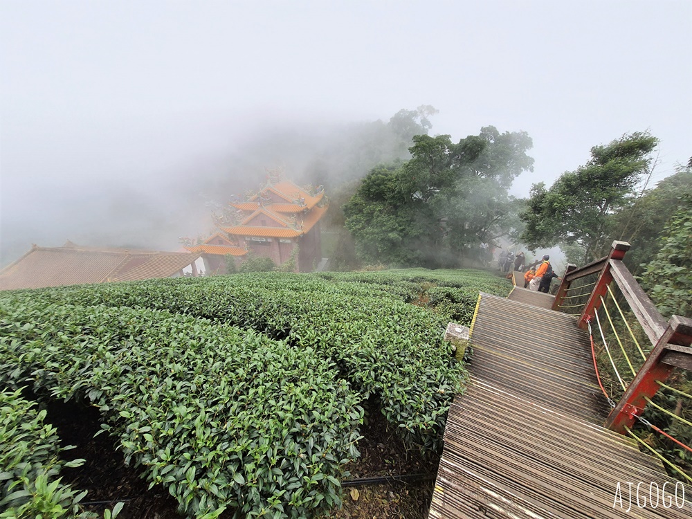 嘉義梅山景點推薦 二尖山步道 茶園步道 雲海、雲瀑一次滿足