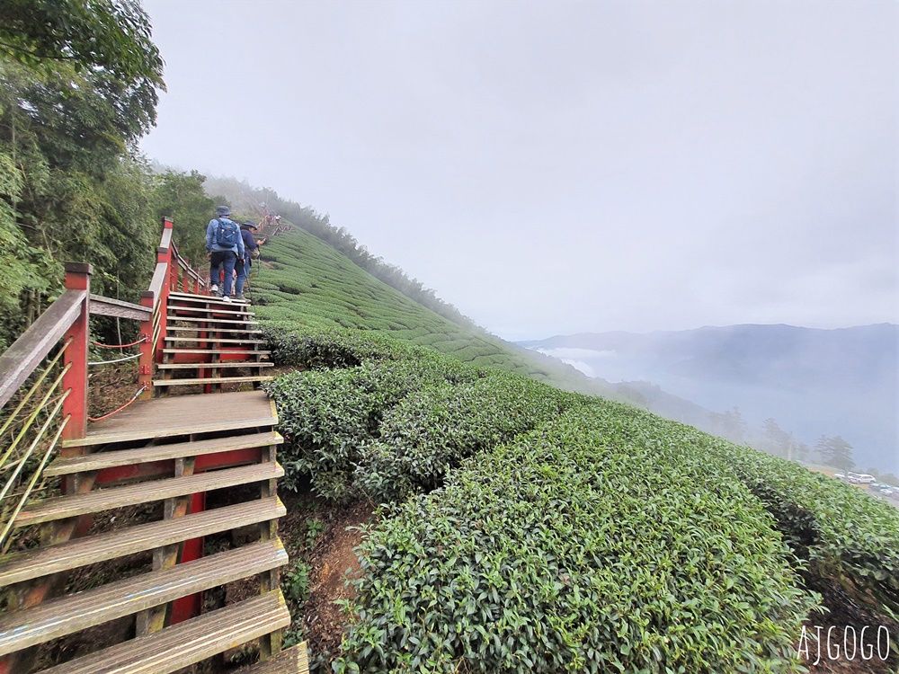 嘉義梅山景點推薦 二尖山步道 茶園步道 雲海、雲瀑一次滿足