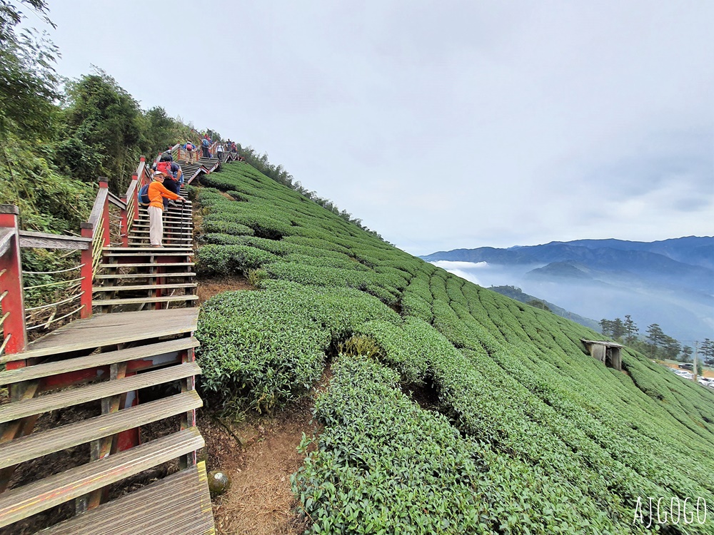 嘉義梅山景點推薦 二尖山步道 茶園步道 雲海、雲瀑一次滿足