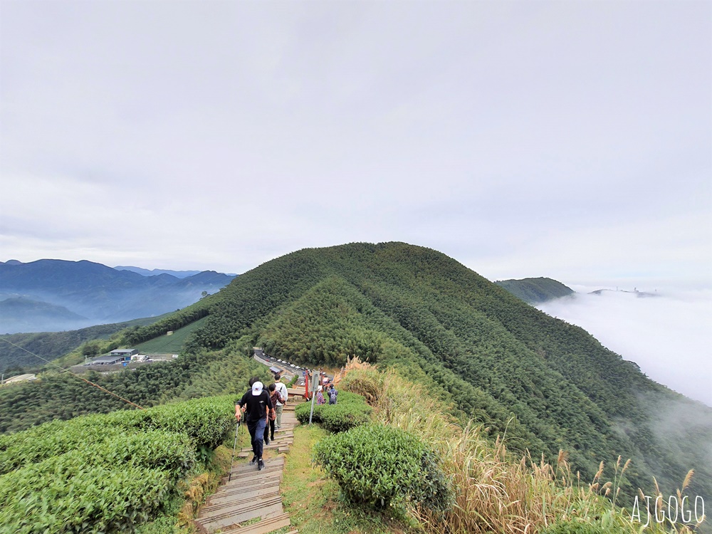 嘉義梅山景點推薦 二尖山步道 茶園步道 雲海、雲瀑一次滿足