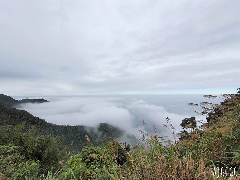 嘉義梅山景點推薦 二尖山步道 茶園步道 雲海、雲瀑一次滿足