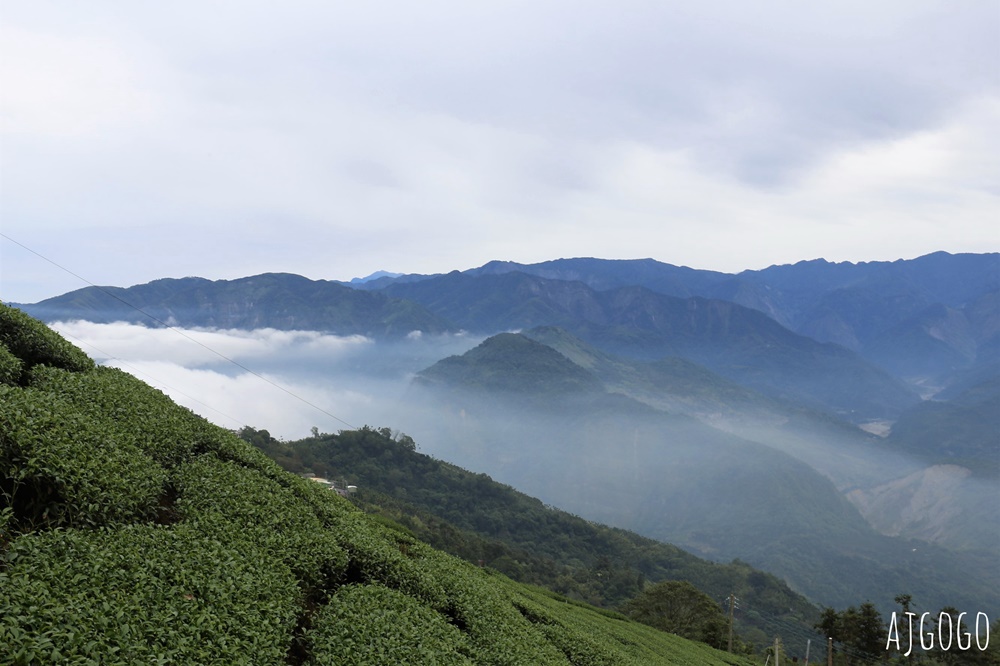 嘉義梅山景點推薦 二尖山步道 茶園步道 雲海、雲瀑一次滿足