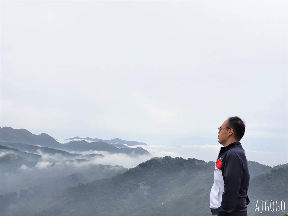 嘉義梅山 碧湖山觀光茶園 免費觀景台、伴手禮、餐廳一次滿足