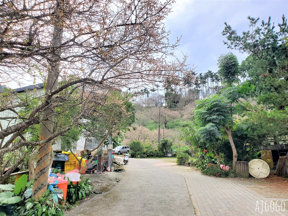 7號梅莊 南投國姓鄉賞梅花景點 每年12月底~1月開花