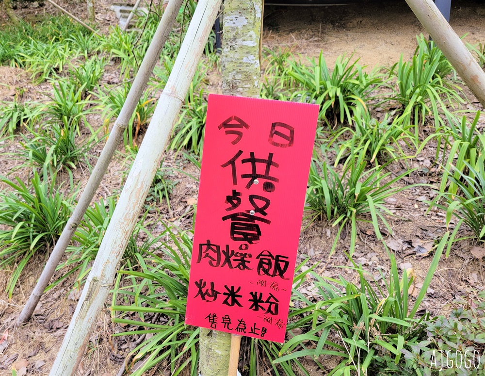 南投景點 九尖茶廠梅花 國姓鄉靜謐賞梅景點 交通、停車場