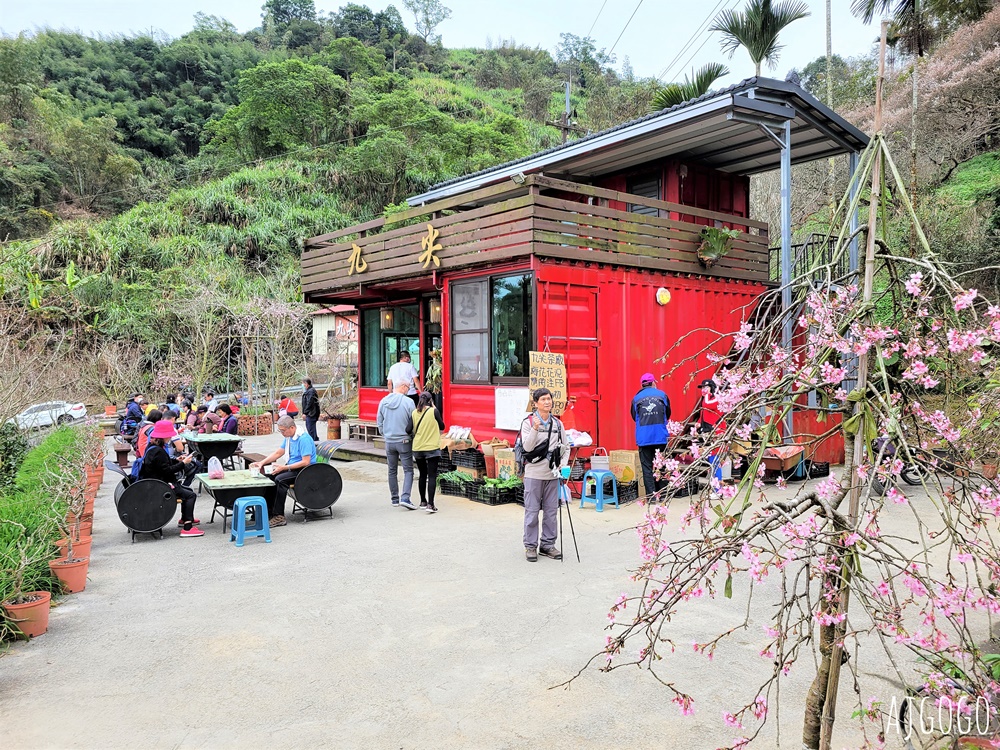 南投景點 九尖茶廠梅花 國姓鄉靜謐賞梅景點 交通、停車場