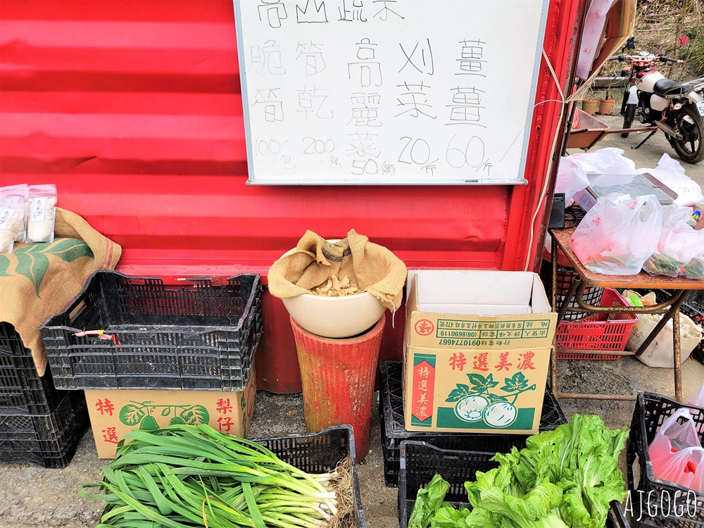 南投景點 九尖茶廠梅花 國姓鄉靜謐賞梅景點 交通、停車場