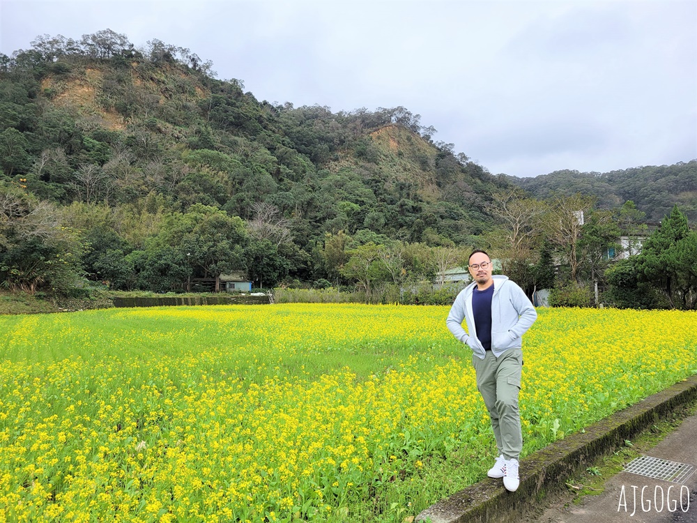 新竹看櫻花 池畔盛開的寒櫻林 關西上林里私房景點 每年1月中開花