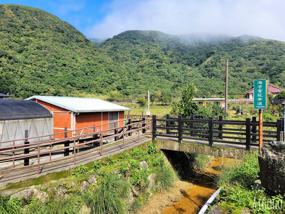 冠宸食館 陽明山竹子湖超人氣餐廳 白斬雞、炒青菜好吃 菜單分享