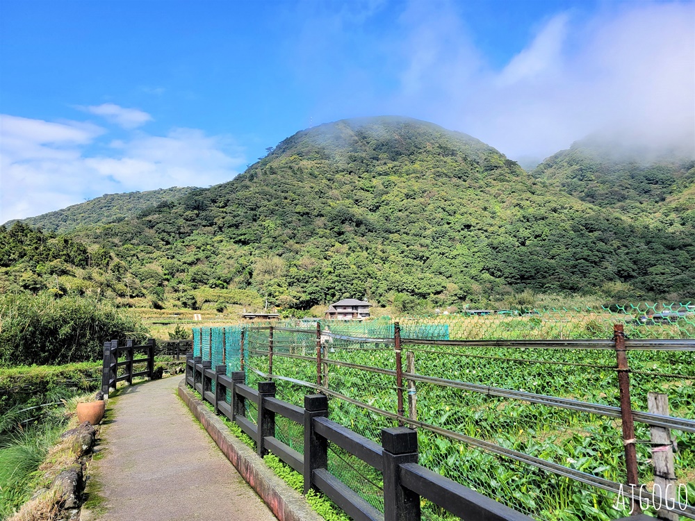 冠宸食館 陽明山竹子湖超人氣餐廳 白斬雞、炒青菜好吃 菜單分享