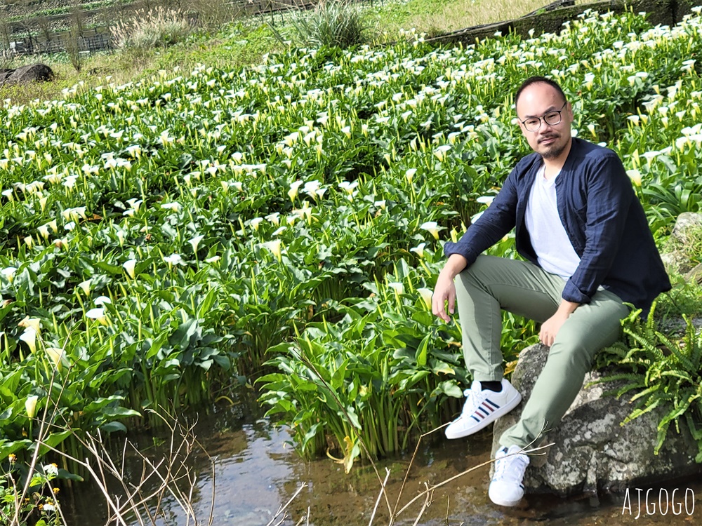 冠宸食館 陽明山竹子湖超人氣餐廳 白斬雞、炒青菜好吃 菜單分享