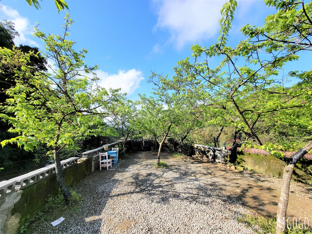 三峽大熊櫻花林 三色寒櫻、八重櫻、香水櫻、福爾摩沙櫻、吉野櫻陸續盛開 可看到4月初