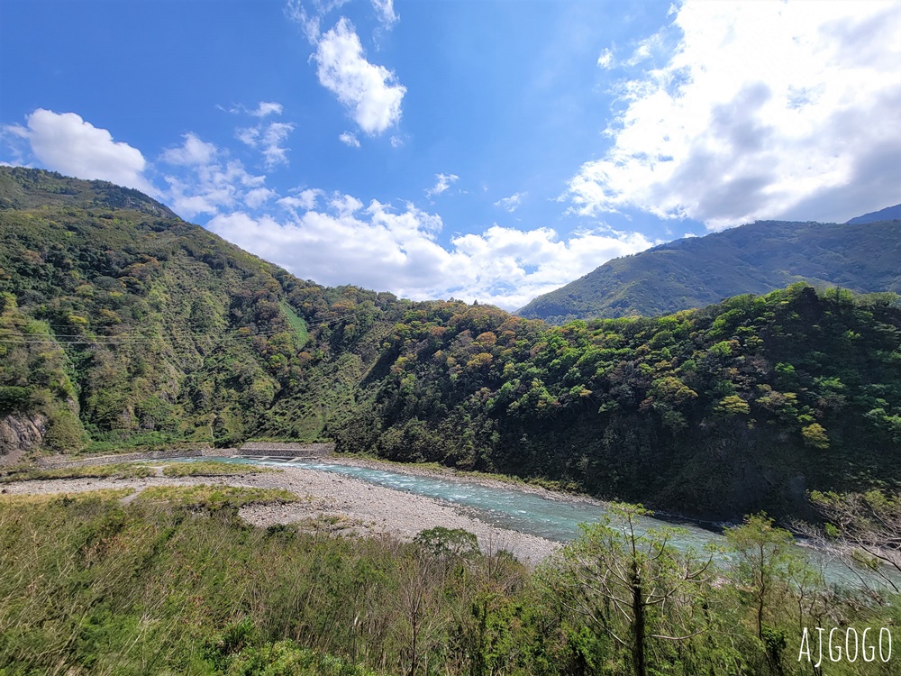 恩愛農場 桃園拉拉山櫻花季 富士櫻、千島櫻接力盛開 有粉紅浪潮 交通路況分享