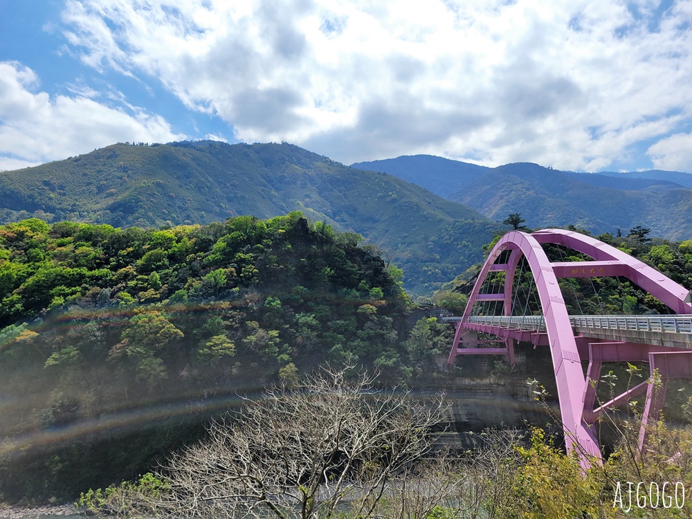 恩愛農場 桃園拉拉山櫻花季 富士櫻、千島櫻接力盛開 有粉紅浪潮 交通路況分享