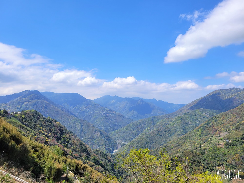 恩愛農場 桃園拉拉山櫻花季 富士櫻、千島櫻接力盛開 有粉紅浪潮 交通路況分享