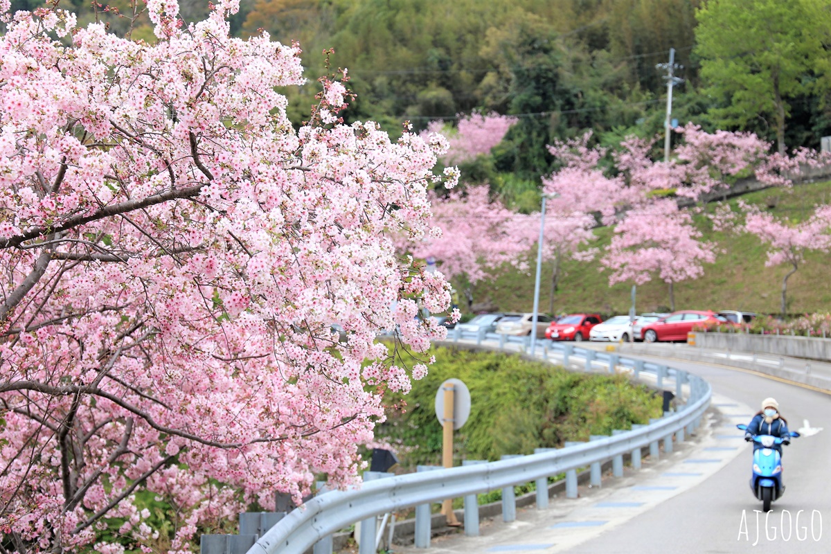 拉拉山遊客中心 巴陵道路沿線 200顆千島櫻每年3月綻放