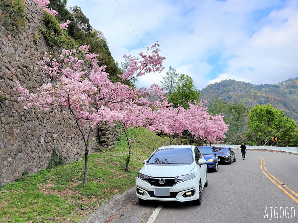 拉拉山遊客中心 巴陵道路沿線 200顆千島櫻每年3月綻放