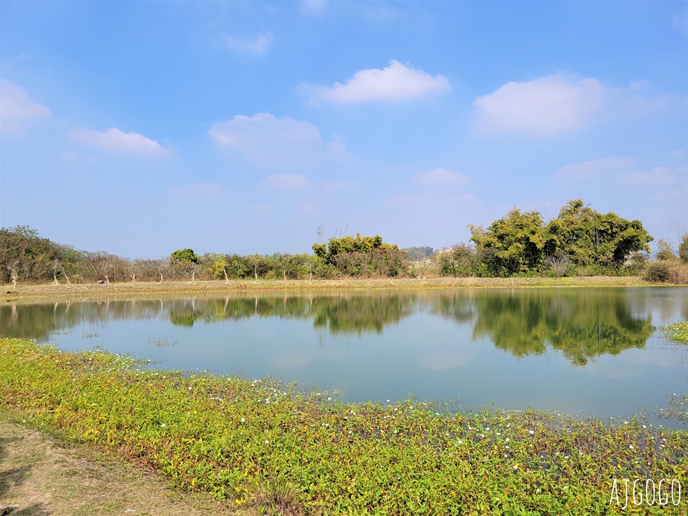 高雄景點 月世界 高雄田寮景點 散步運動 吃土雞城 半日遊剛好