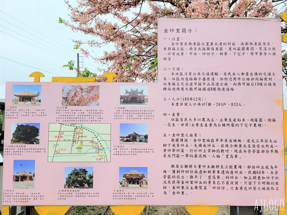 台南景點 金砂花旗木步道 糖廠鐵道粉紅花道 每年3~4月綻放