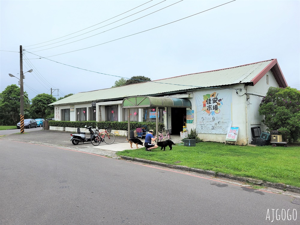 桃園 十一份觀光文化園區 石門水庫舊美國宿舍 大草坪野餐舒服