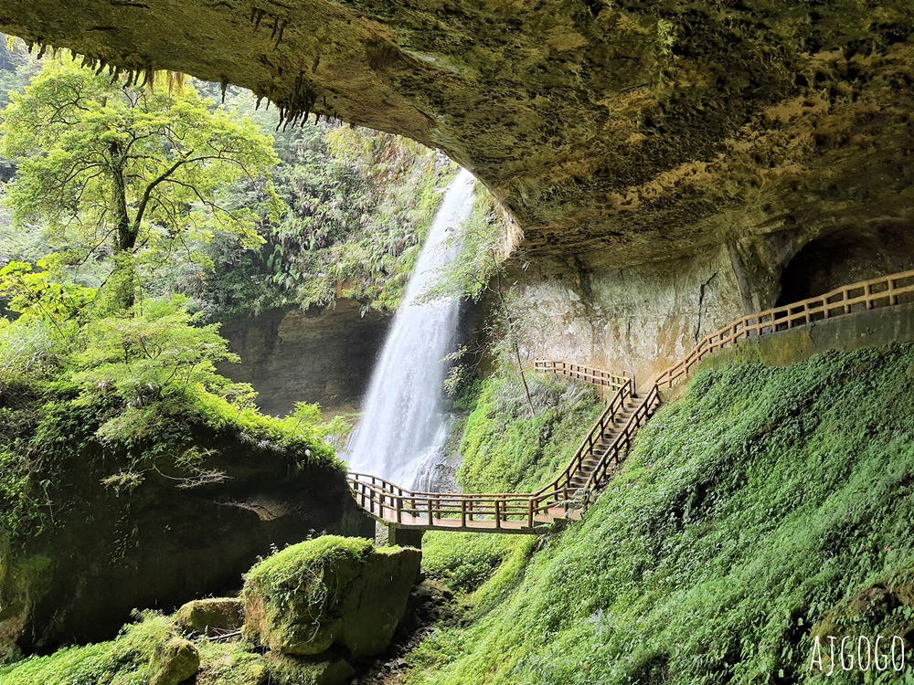 杉林溪森林生態渡假園區：全台灣最大的繡球花園 萬朵繡球花 每年5~8月陸續盛開