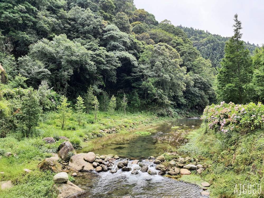 杉林溪森林生態渡假園區：全台灣最大的繡球花園 萬朵繡球花 每年5~8月陸續盛開