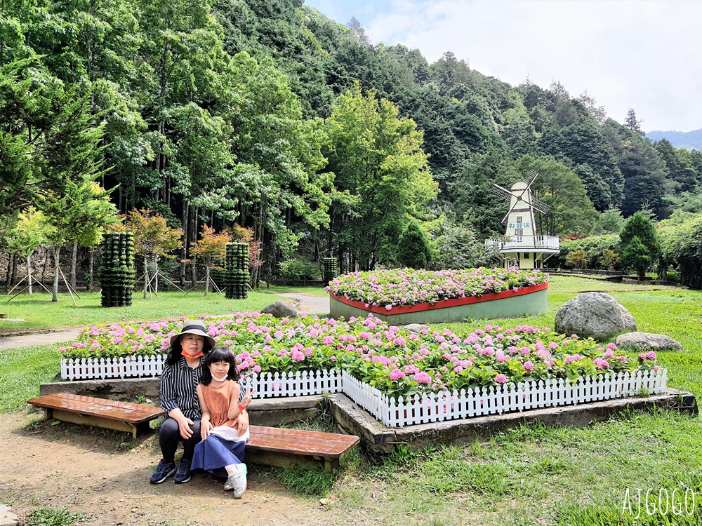 杉林溪森林生態渡假園區：全台灣最大的繡球花園 萬朵繡球花 每年5~8月陸續盛開