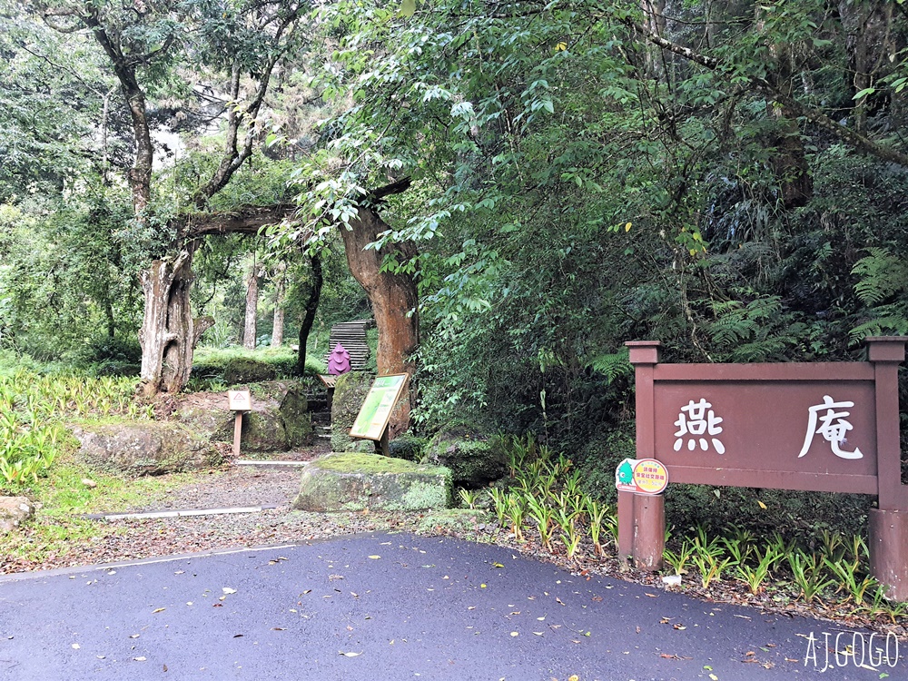 杉林溪森林生態渡假園區：全台灣最大的繡球花園 萬朵繡球花 每年5~8月陸續盛開