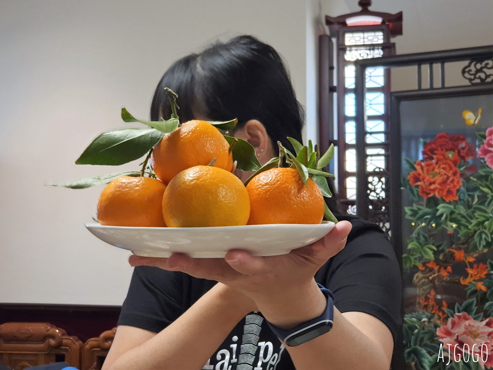 蘇黎世中國菜 筷子 ChopStick 中央車站好吃的川菜館