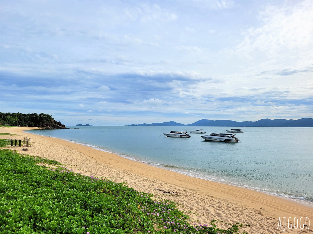 2025泰國龜島交通 前進世界潛水工廠Koh Tao 蘇美島、曼谷、華欣出發