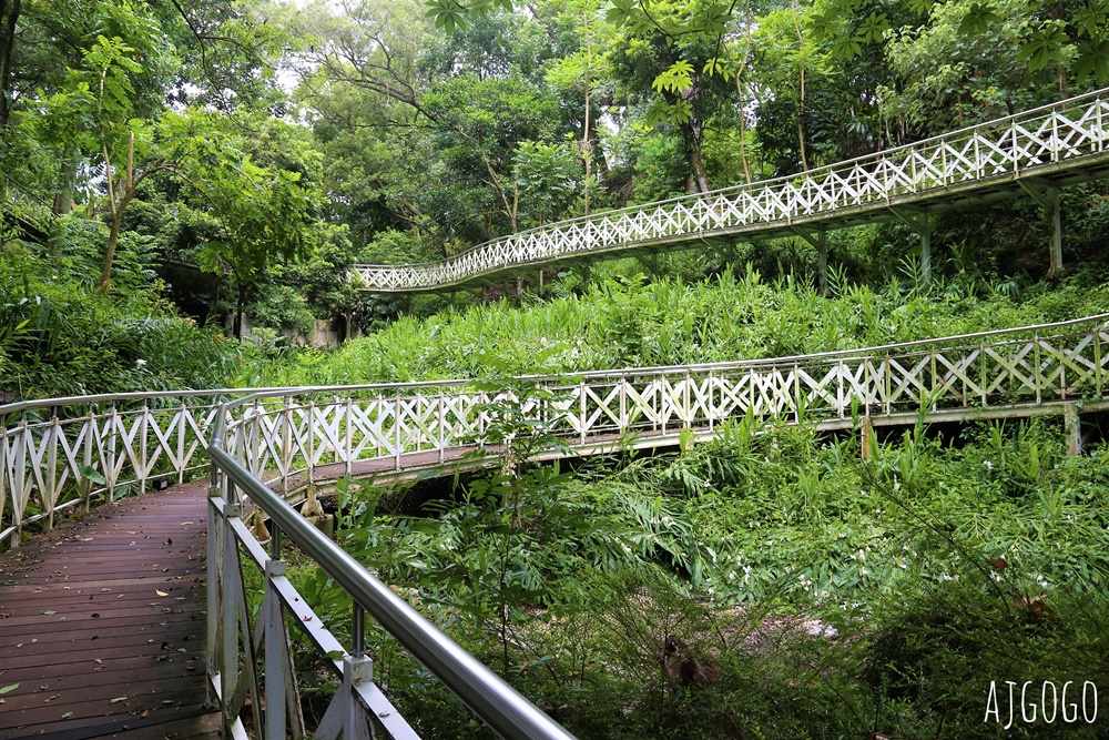 嘉義景點 竹崎親水公園 牛稠溪畔第一座親水公園 親水環境全面升級 夏季限定免費水樂園