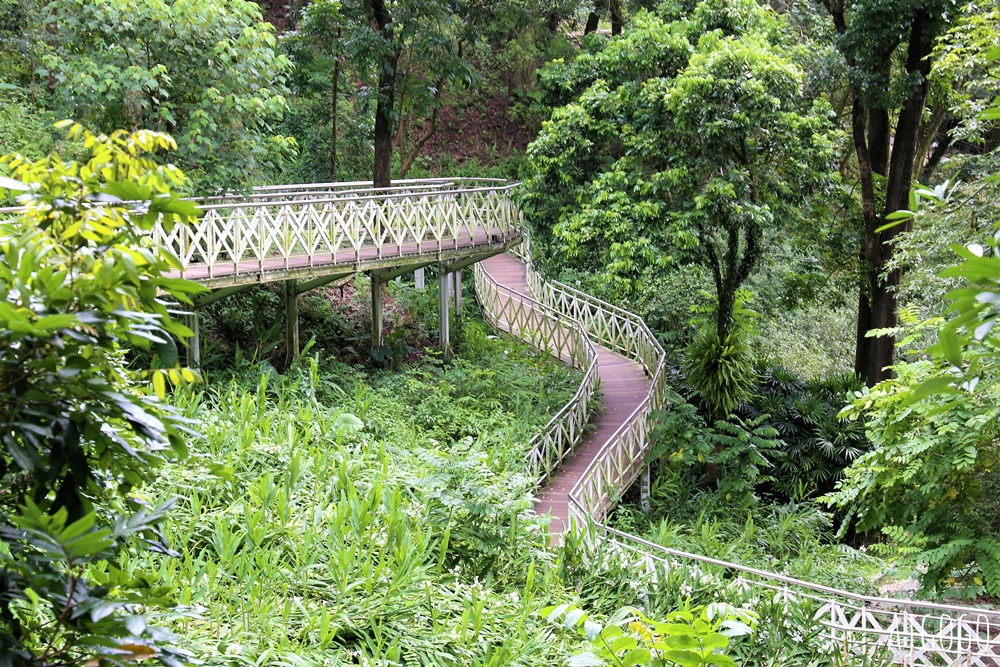 嘉義景點 竹崎親水公園 牛稠溪畔第一座親水公園 親水環境全面升級 夏季限定免費水樂園