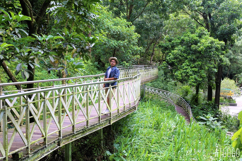 嘉義景點 竹崎親水公園 牛稠溪畔第一座親水公園 親水環境全面升級 夏季限定免費水樂園