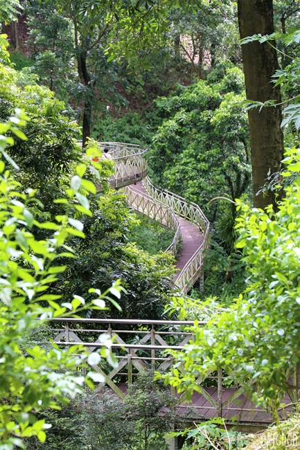 嘉義景點 竹崎親水公園 牛稠溪畔第一座親水公園 親水環境全面升級 夏季限定免費水樂園