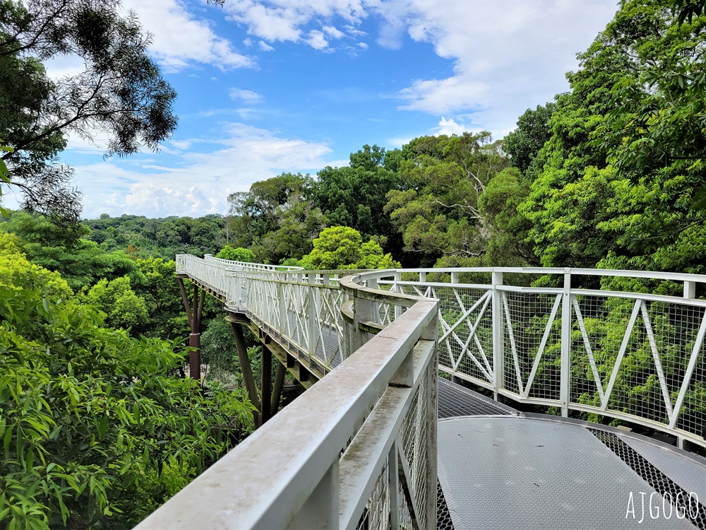 嘉義景點 竹崎親水公園 牛稠溪畔第一座親水公園 親水環境全面升級 夏季限定免費水樂園