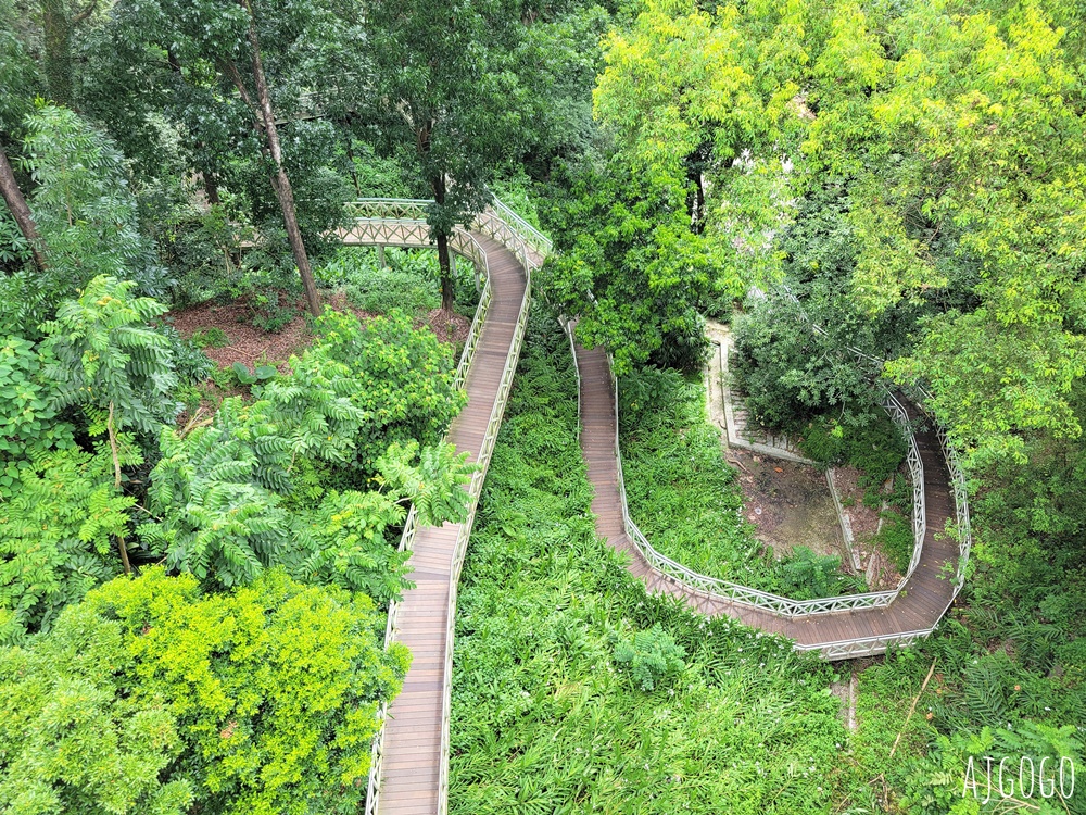 嘉義景點 竹崎親水公園 牛稠溪畔第一座親水公園 親水環境全面升級 夏季限定免費水樂園