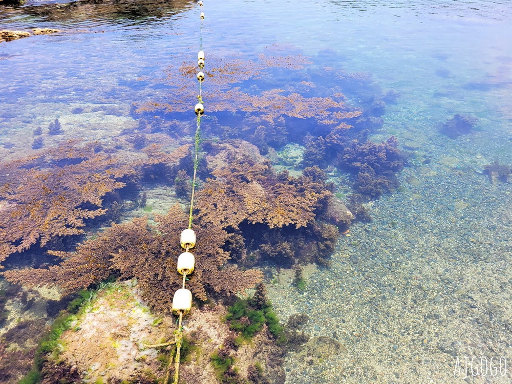 龍洞灣海洋公園 東北角海水浴場推薦 浮淺、水肺潛水、海洋獨木舟都能玩