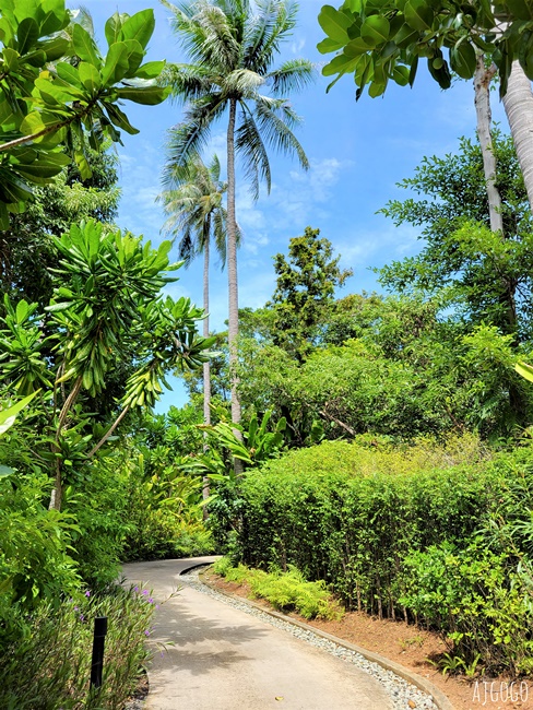 Island Escape by Burasari 島嶼度假飯店 普吉椰子島放空旅行 交通分享