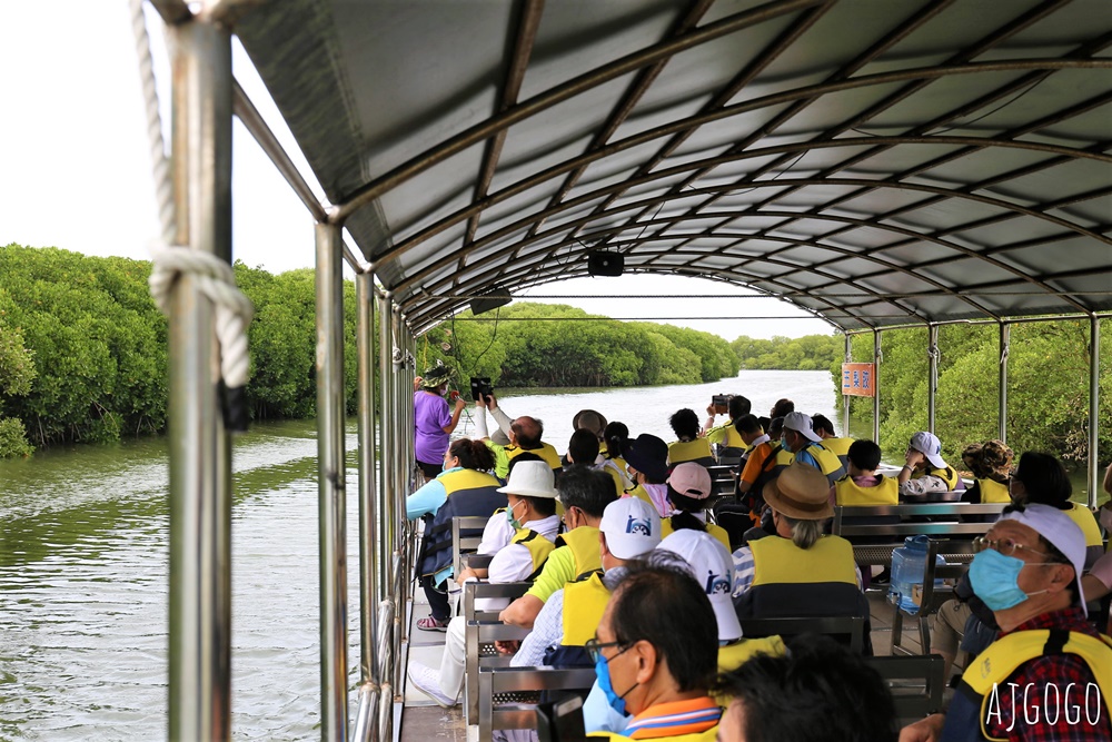 台南景點 台江漁樂園 搭船遊台江 近距離看紅樹林 台灣版亞馬遜河