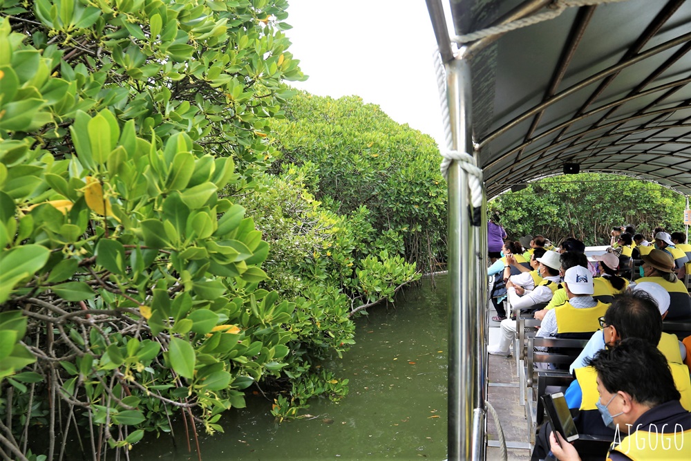 台南景點 台江漁樂園 搭船遊台江 近距離看紅樹林 台灣版亞馬遜河