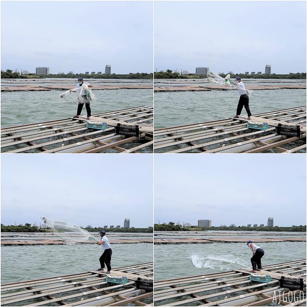 台南景點 台江漁樂園 搭船遊台江 近距離看紅樹林 台灣版亞馬遜河